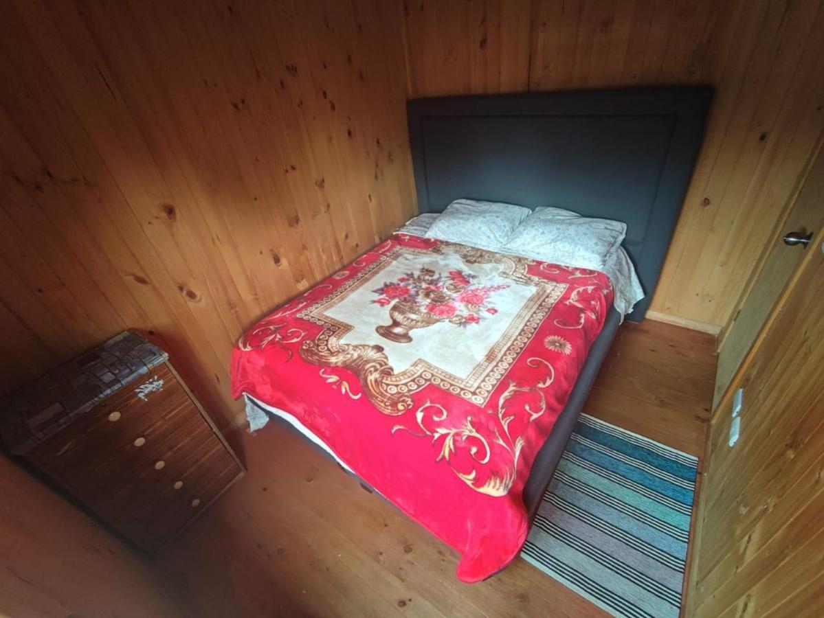Cabana El Canelo * Castro